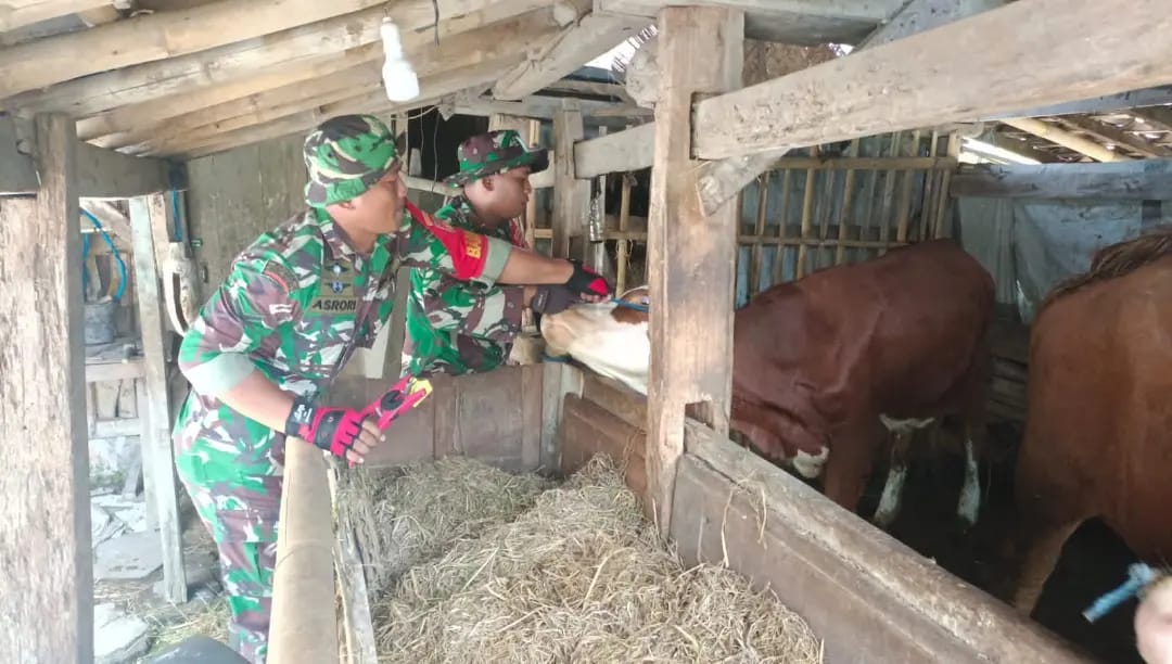 Babinsa Prambanan Pasang Ear Tag