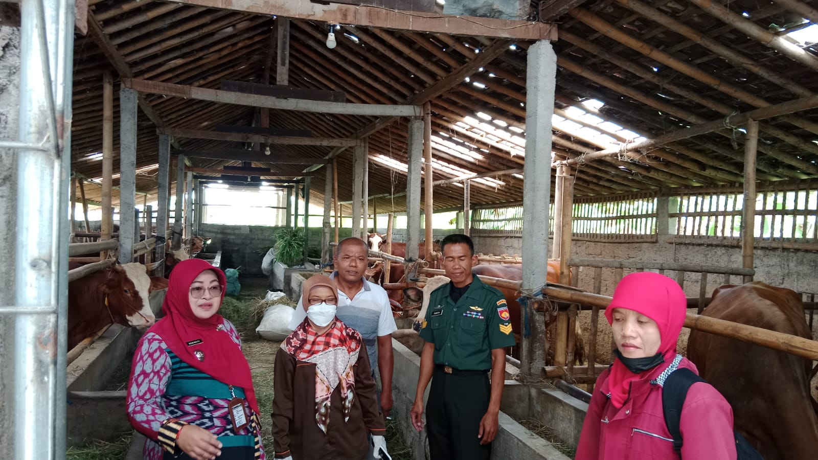 Babinsa Ceper Bersama Petugas Cek Kesehatan Hewan