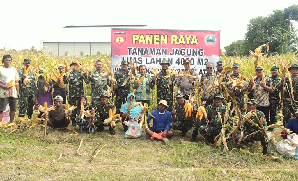 Dandim Klaten Panen Raya Jagung di Lahan 4.000 M²