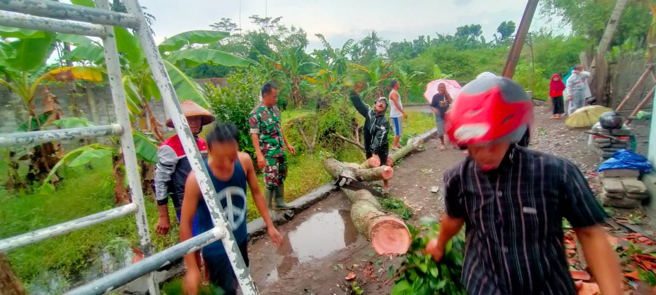 Babinsa Wedi Bantu Perbaiki Rumah Warga Tertimpa Pohon