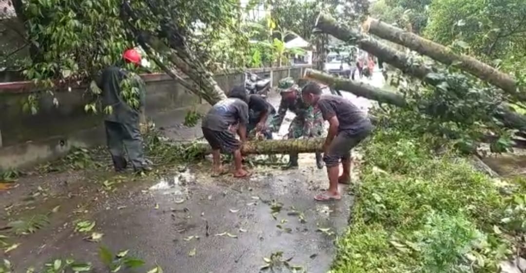 Halangi Jalan, Babinsa Koramil Prambanan Evakuasi Pohon Tumbang Bersama Warga