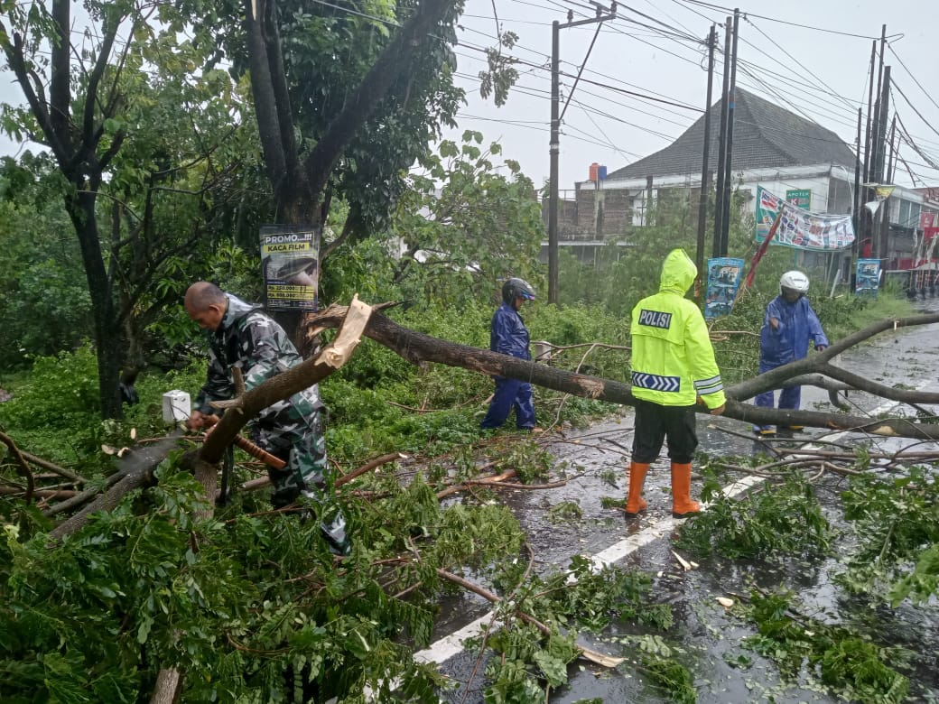 Babinsa Koramil Delanggu Evakuasi Pohon Tumbang Di Jalan Solo-Yogya Ganggu Arus Lalin