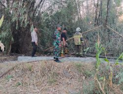 Kebakaran Rumpun Bambu Di Wilayah Binaan, Ini Kata Babinsa Wonosari