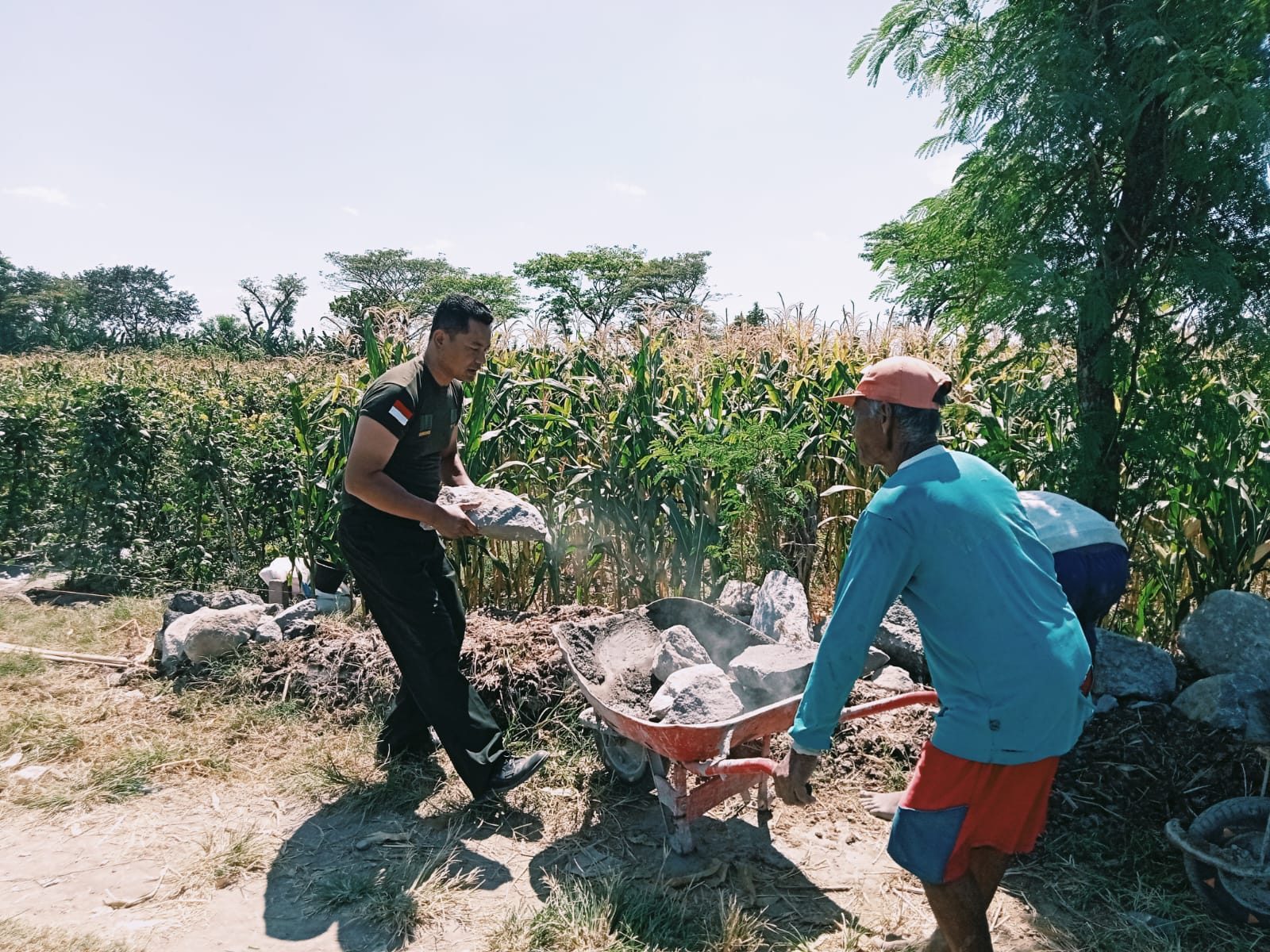 Wujudkan Kemanunggalan TNI dan Rakyat, Babinsa Ceper Bantu Buat Talud
