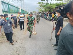 Koramil Delanggu Bersama Forkompimcam Delanggu Gelar Karya Bakti