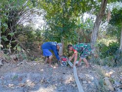 Babinsa Ceper Dampingi Petani Pompanisasi Lahan Jagung