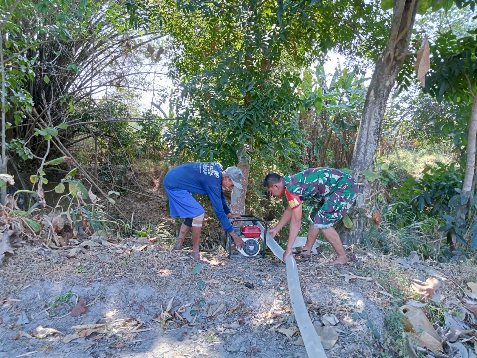 Babinsa Ceper Dampingi Petani Pompanisasi Lahan Jagung