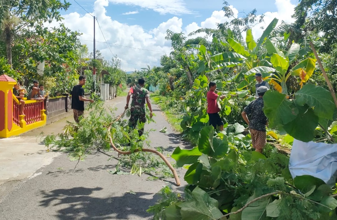 Cegah Pohon Tumbang Babinsa Ceper Kerja Bakti Pangkas Pohon Bersama Warga