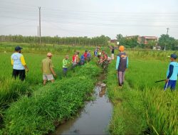 Berantas Musuh Petani, Babinsa Wonosari Gropyokan Tikus Di Desa Binaan