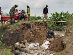 Tanggul Sungai Jebol, Danramil Cawas Pimpin Perbaikan Tanggul Bersama Warga