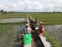 Sambangi Petani Binaan, Babinsa Koramil Klaten Utara Sampaikan Ini