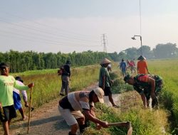 Lestarikan Gotong Royong, Babinsa Wonosari Bersama Warga Bersihkan Jalan Di Desa Bentangan