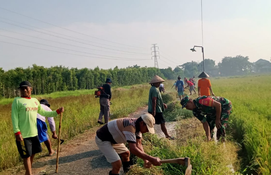 Lestarikan Gotong Royong, Babinsa Wonosari Bersama Warga Bersihkan Jalan Di Desa Bentangan