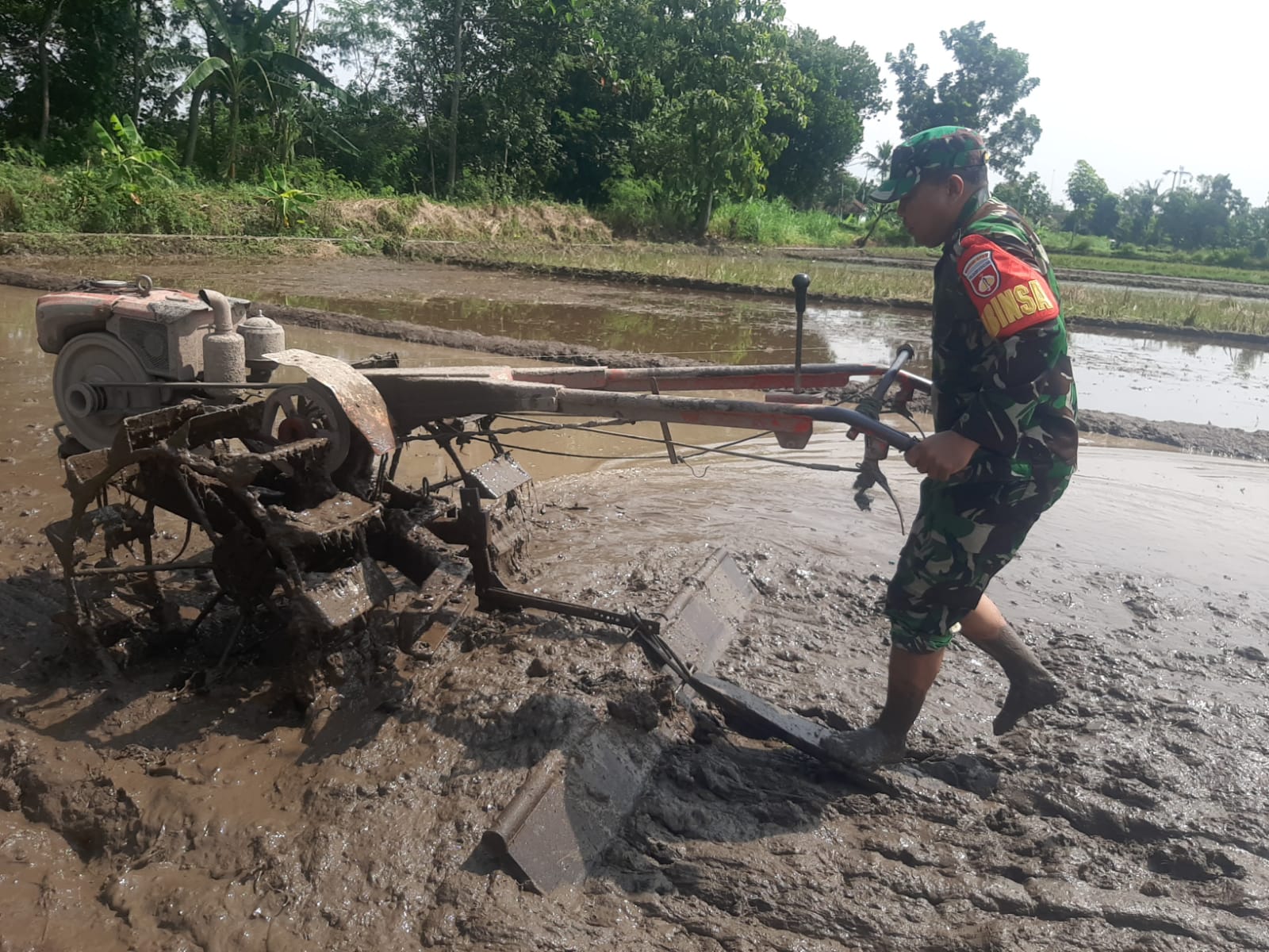 Babinsa Koramil Prambanan Bantu Petani Olah Lahan Sawah