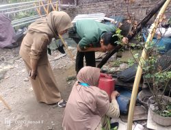 Babinsa Koramil Klaten Utara Dampingi Kader Kesehatan Berantas Sarang Nyamuk Desa Karanganom