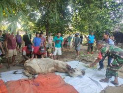 Babinsa Koramil 22 Wonosari Kodim 0723 Klaten Bantu Warga Penyembelihan Hewan Kurban