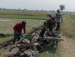 Babinsa Koramil Prambanan Bersama Masyarakat Karya Bakti Buat Talud Saluran Irigasi