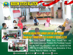 Ibu Hamil Terima Penyuluhan Posbindu Program TMMD Reg 121