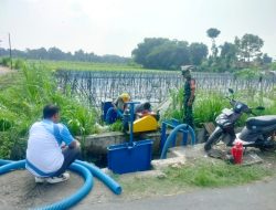 Pendampingan Petani Desa Randusari Klaten Oleh Danramil 09/Prambanan