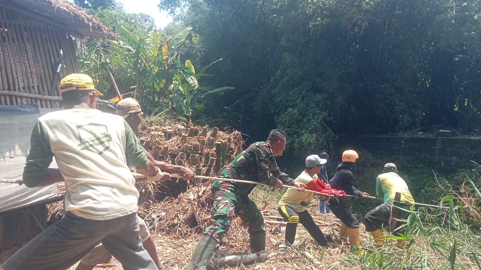 Rumpun Bambu Roboh, Babinsa Koramil Ceper Bersama Petugas Bengawan Solo Lakukan Pembersihan