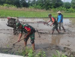 Babinsa Koramil 12/Manisrenggo Kodim Klaten Turun Dampingi Petani Olah Sawah