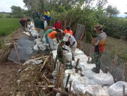 Anggota Koramil 20/Cawas Bersama Warga Perbaiki Tanggul Jebol Di Desa Bendungan