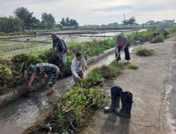 Koramil 01 Kota Kodim Klaten Bersama Warga Bersihkan Saluran Air Di Desa Tambong Wetan