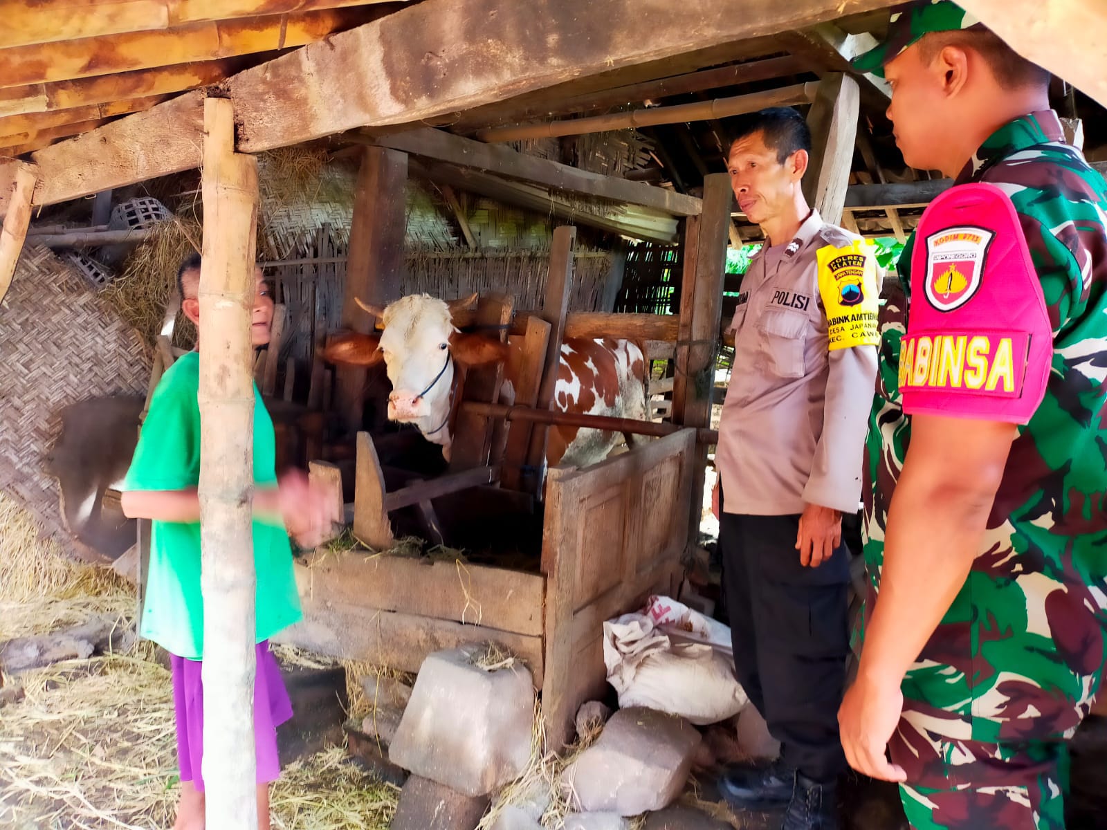Babinsa Japanan Koramil Cawas Klaten Lakukan Pemantauan Dan Pendataan Hewan Ternak Terkait PMK