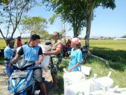 Babinsa Koramil 17/Karangdowo Dampingan Panen Padi Di Wilayah Desa Tumpukan, Sampaikan Ini