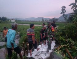 Tanggul Sungai Kongklangan Jebol, Babinsa Koramil Prambanan Klaten Bersama Warga Cepat Tanggapi Kejadian