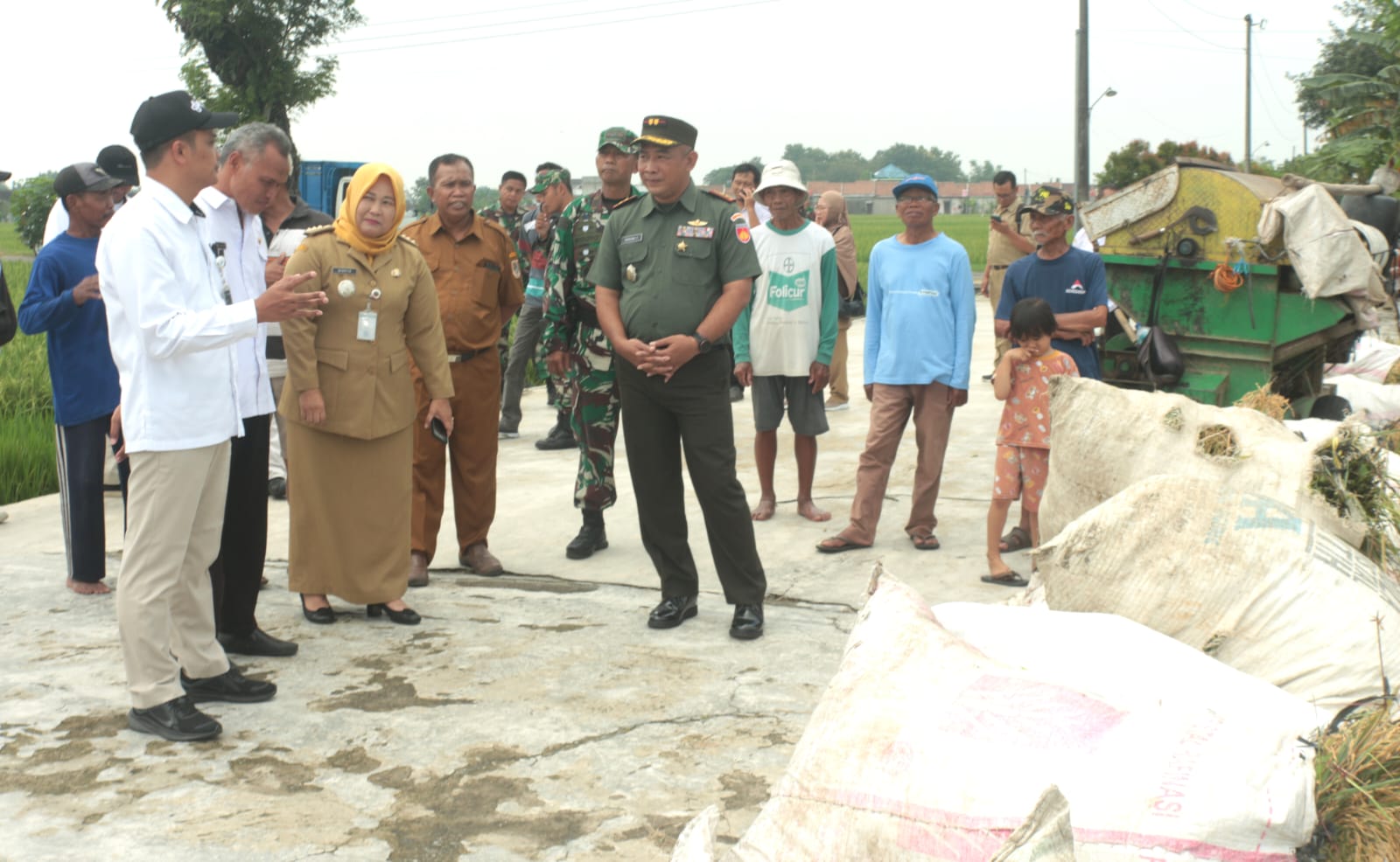 Dandim Klaten Tinjau Langsung Penyerapan Gabah Petani Upaya Mendukung Program Swasembada Pangan Nasional