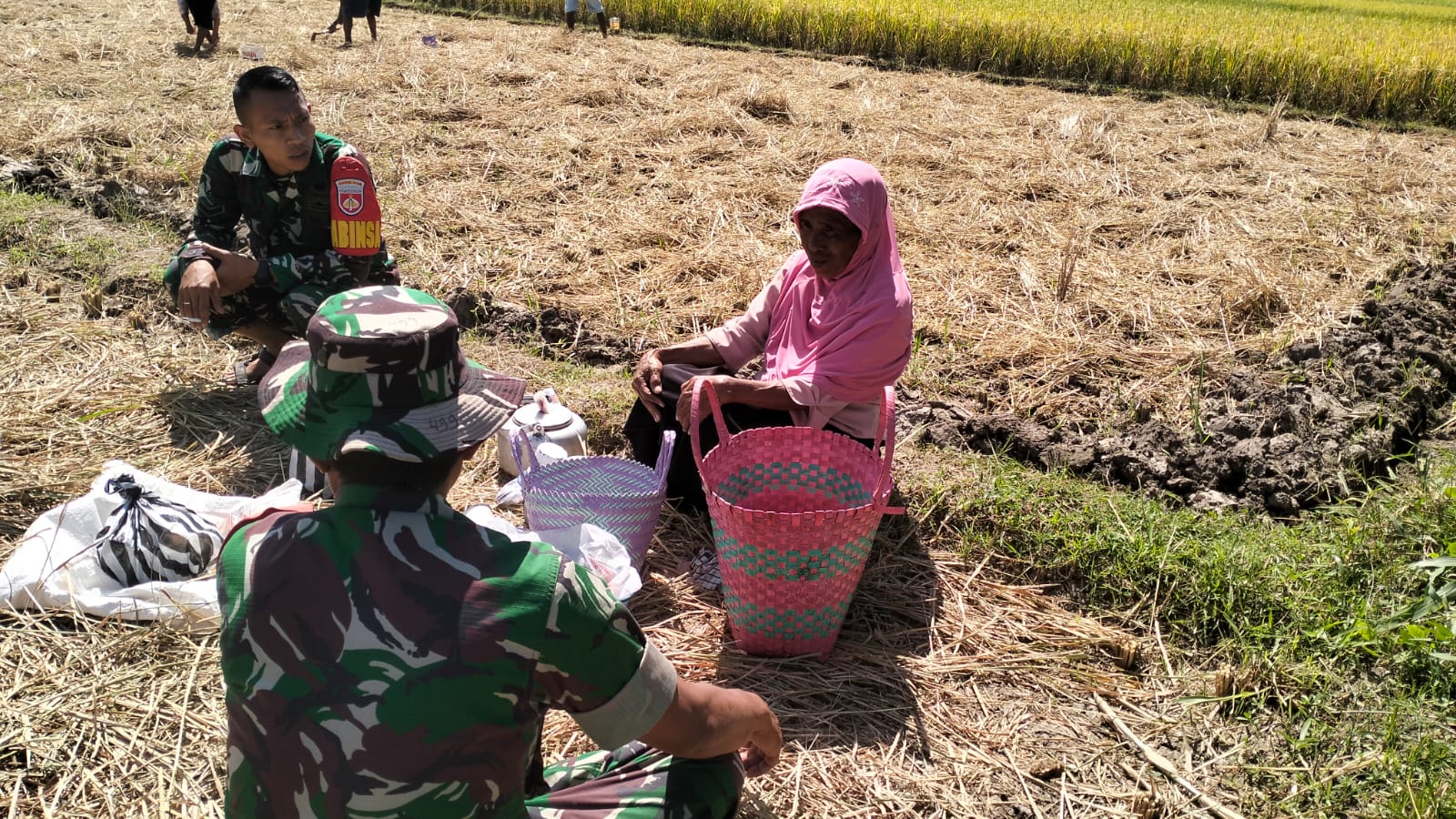 Dukung Program Pemerintah Untuk Ketahanan Pangan Nasional, Babinsa Koramil Klaten Utara Sosialisasikan Serapan Gabah Kering