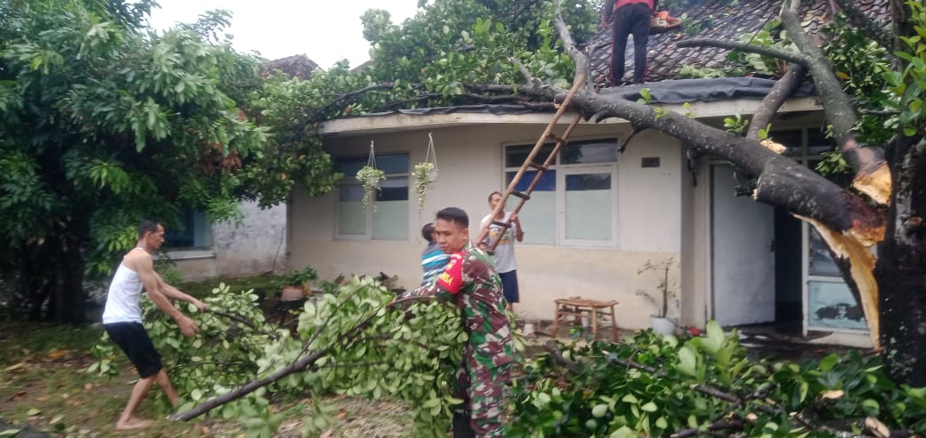 Babinsa Koramil 04/Pedan Bersihkan Pohon Tumbang Timpa Rumah Warga