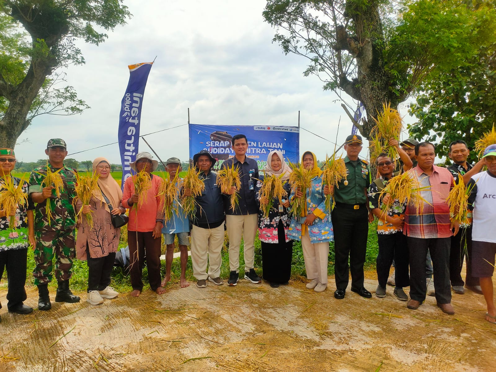 Danramil Juwiring Hadiri Kunjungan Wapinca Bulog Surakarta Dalam Rangka Panen Raya Di Desa Kwarasan Klaten