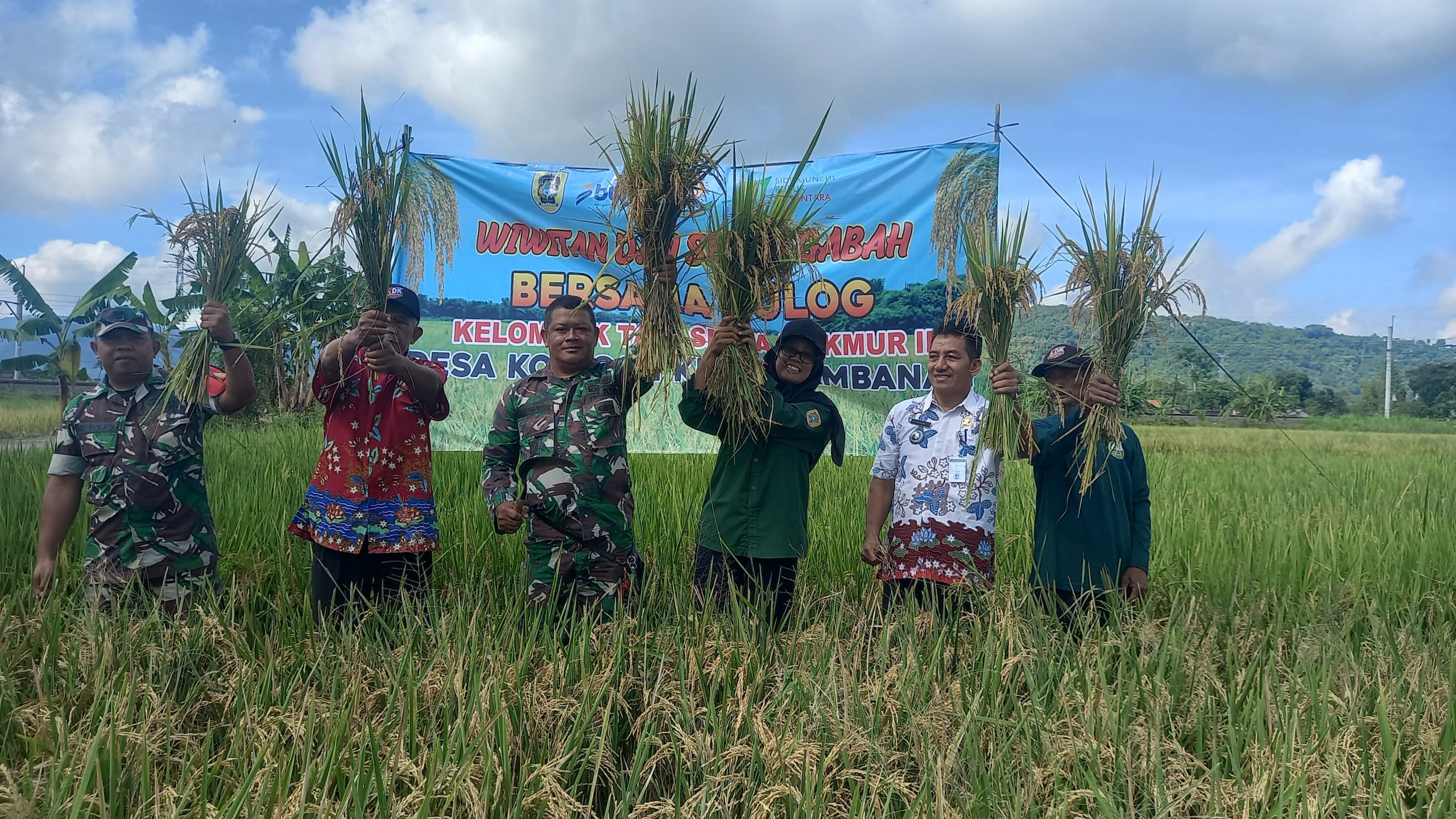 Danramil 09/Prambanan Hadiri Wiwitan Panen Padi Dan Serap Gabah Bersama Bulog Di Desa Kotesan Prambanan Klaten