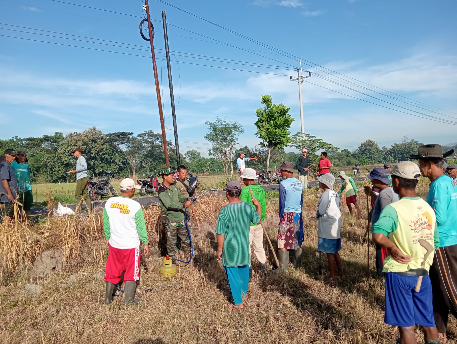 Babinsa Koramil Karanganom Bersama Kelompok Tani Brantas Hama Tikus Di Persawahan Desa Tarubasan Klaten