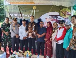 Panen Raya Serentak, Dandim 0723 Klaten Hadiri Panen Raya Padi Di Desa Ceper Klaten
