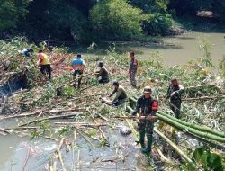 Sinergi TNI, Relawan Dan Warga Bersihkan Rumpun Bambu Pasca Banjir Di Sungai Kaligawe Klaten