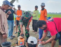 Babinsa Desa Balak Dan Perangkat Desa Dampingi Uji Coba Pupuk Cair Organik Di Lahan Kelompok Tani Sumber Rejeki