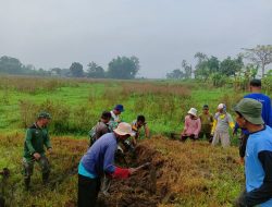 Babinsa Koramil 08/Ngawen Basmi Hama Tikus Di Desa Senden Dukung Swasembada Pangan