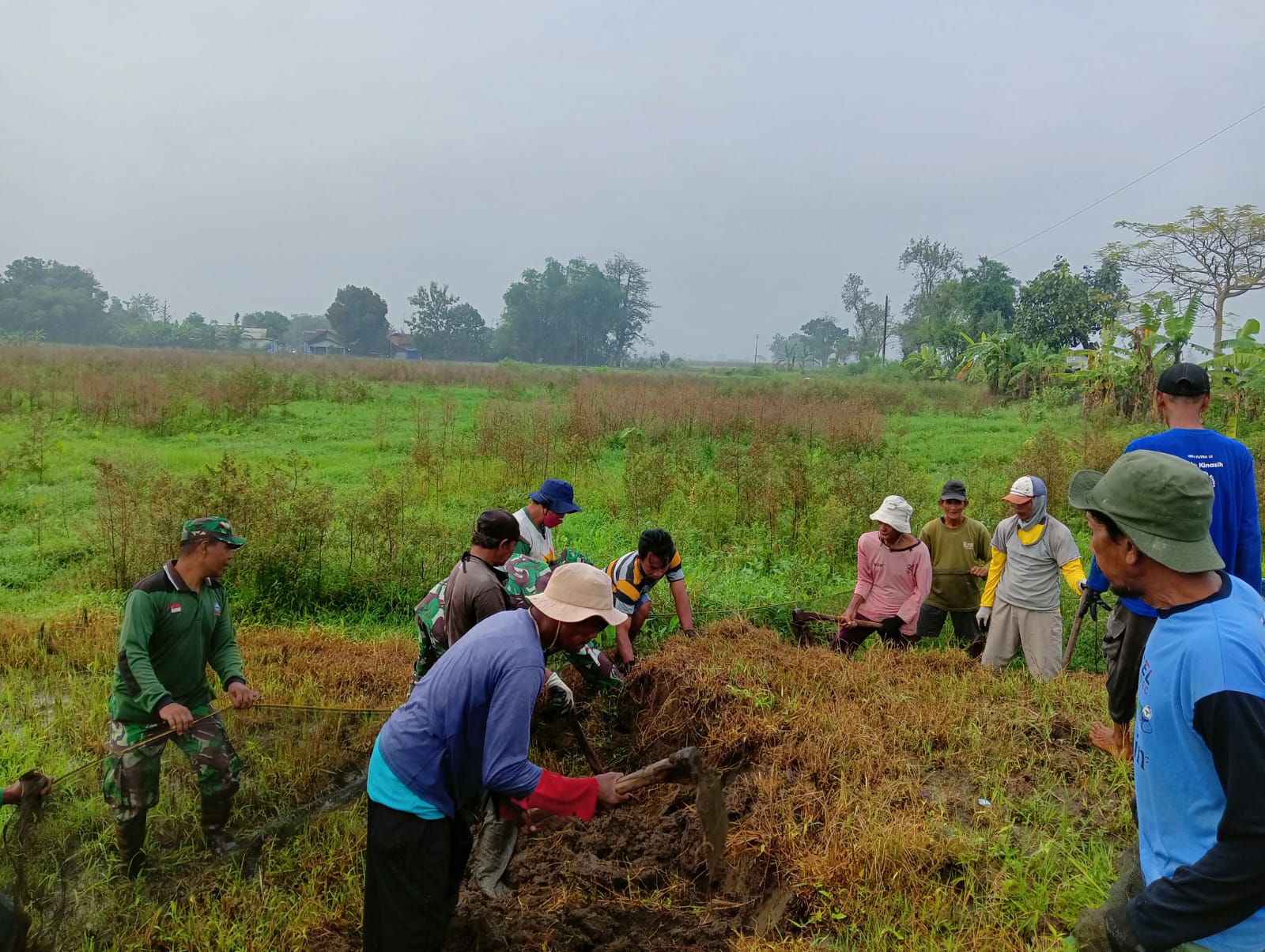 Babinsa Koramil 08/Ngawen Basmi Hama Tikus Di Desa Senden Dukung Swasembada Pangan
