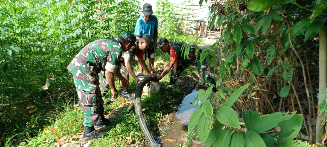 Sinergi Babinsa Dan Petani: Optimalkan Lahan Perkuat Ketahanan Pangan Nasional