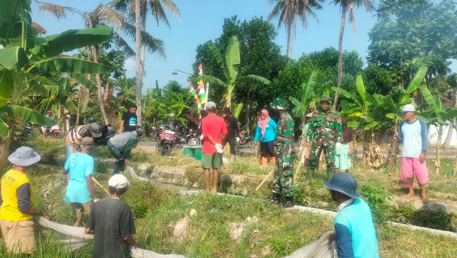 Sinergi TNI Dan Petani Wedi Kendalikan Hama Untuk Jaga Ketahanan Pangan