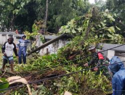 Cuaca Ekstrem Di Klaten, Babinsa Bersama Warga Evakuasi Pohon Tumbang