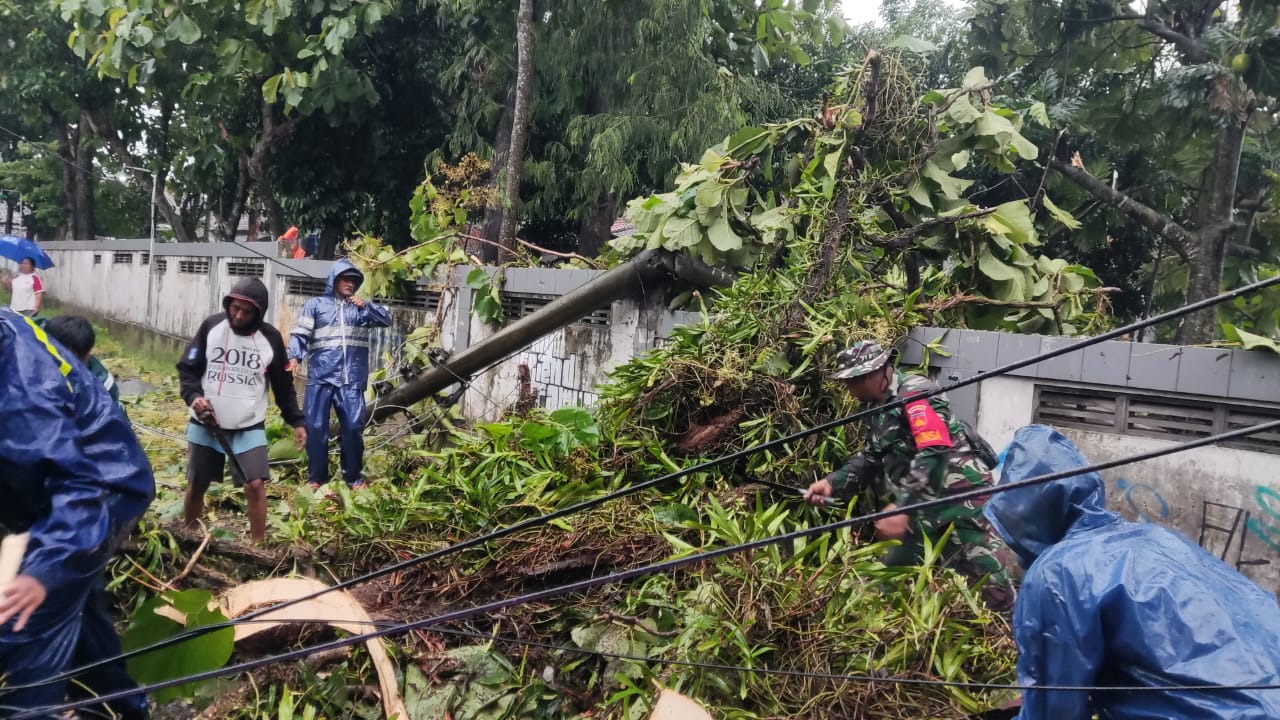 Cuaca Ekstrem Di Klaten, Babinsa Bersama Warga Evakuasi Pohon Tumbang