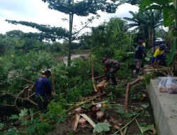 Babinsa Koramil 20/Cawas Bersama BBWS Dan Warga Bersihkan Tanggul Sungai Di Desa Bawak Klaten