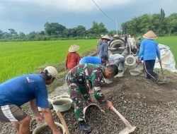 Gotong Royong Betonisasi Jalan Desa, Wujud Kemanunggalan TNI Dan Rakyat Di Gombang Cawas Klaten