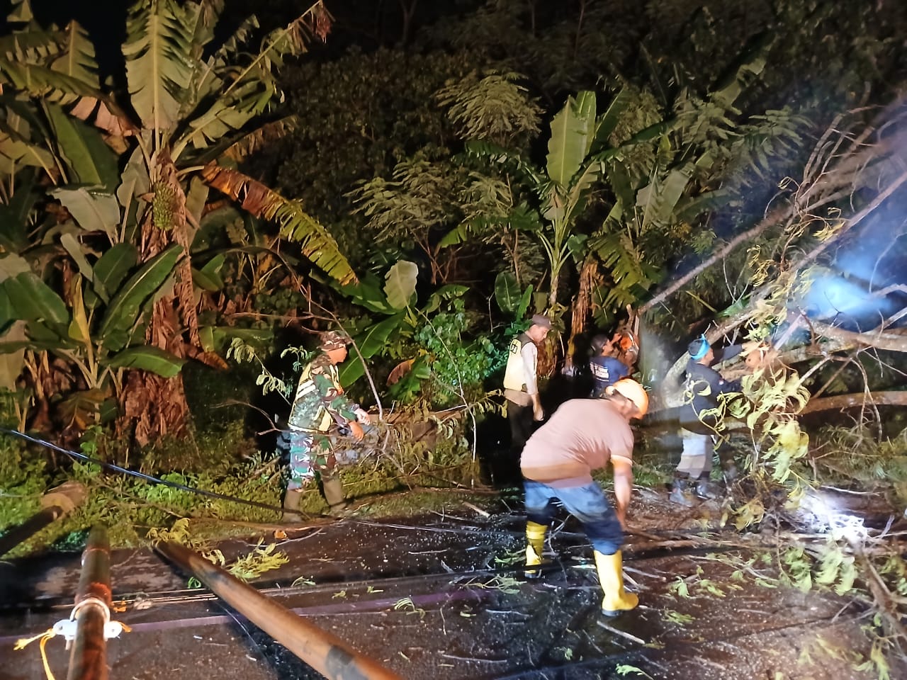 Babinsa Desa Palar Bersama Aparat Dan Warga Evakuasi Pohon Tumbang Di Trucuk Klaten