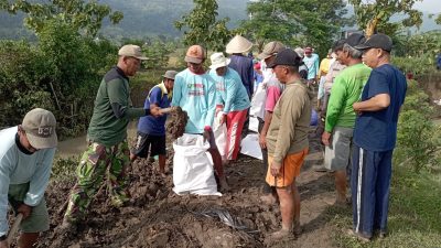 Babinsa Koramil 20/Cawas Bersama Warga Perbaiki Tanggul Sungai Padangan