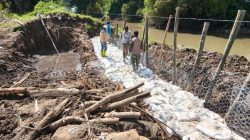 Koramil 20/Cawas Gotong Royong Perbaiki Tanggul Jebol Di Desa Japanan Cawas Klaten